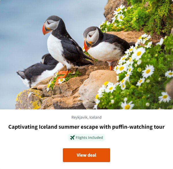 Captivating Iceland summer escape with puffin-watching tour