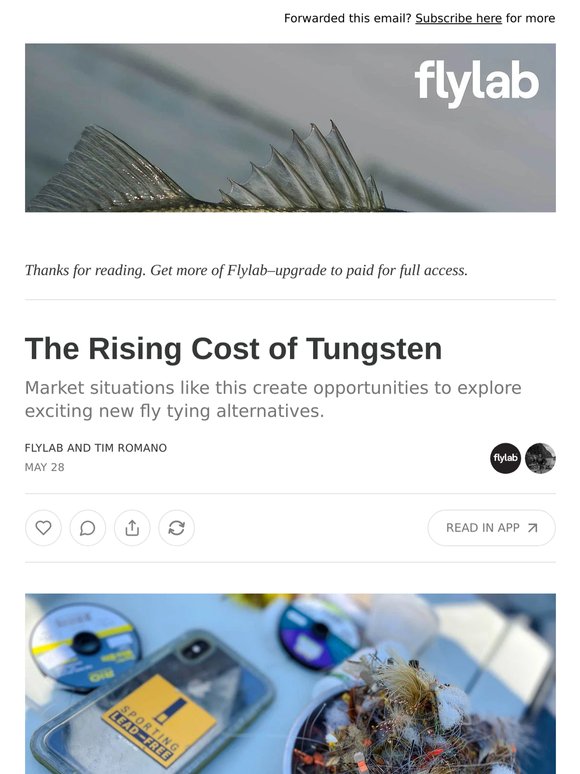 The Rising Cost of Tungsten