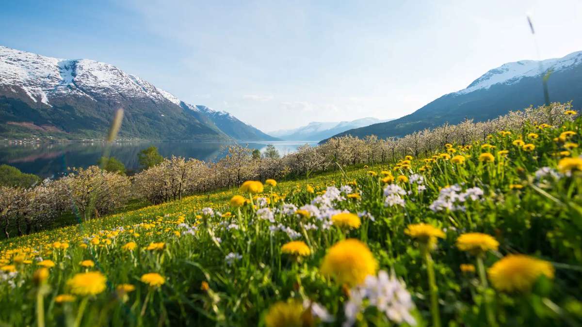 Welcome to Norway