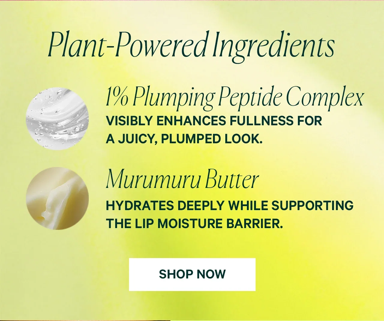 Plant-Powered Ingredients