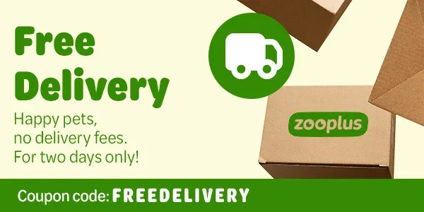 FREE shipping - today only!