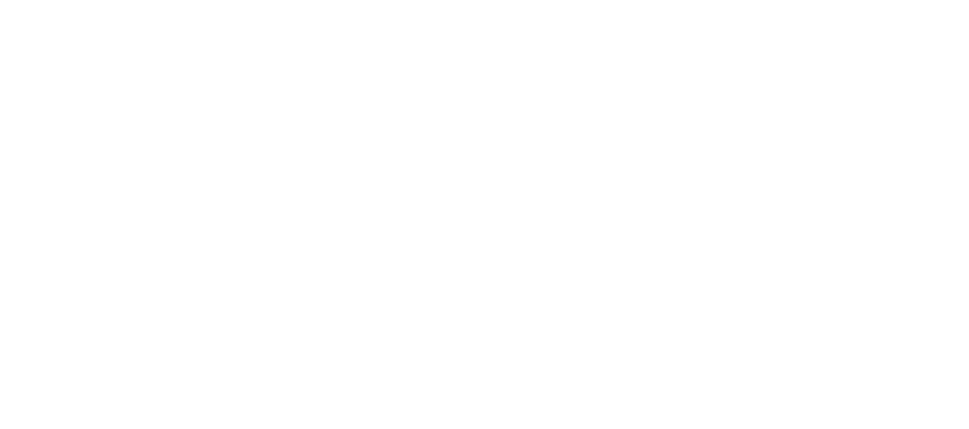 Artist Guitars