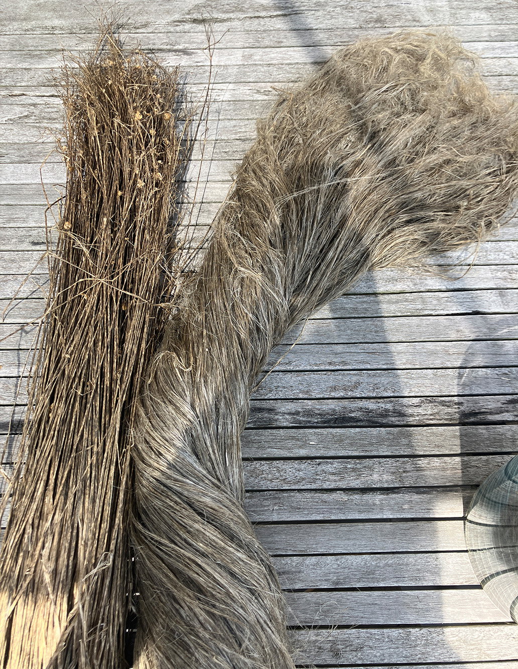 Bundles of harvested flax stems