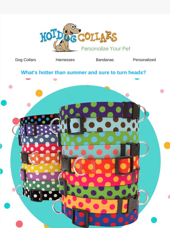 Hot Dot Collars!  Get your pup spotted!