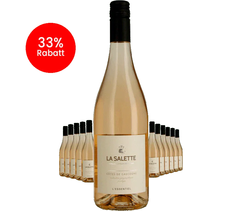 Paket 12 Flaschen La Salette Rosé