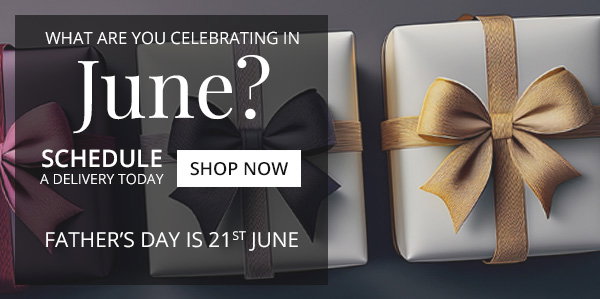 June Celebrations | Shop Now
