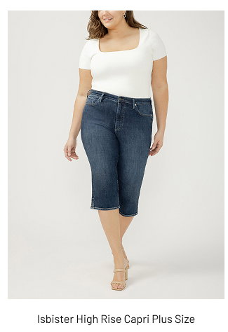 Ibister High Rise Capri Plus Size