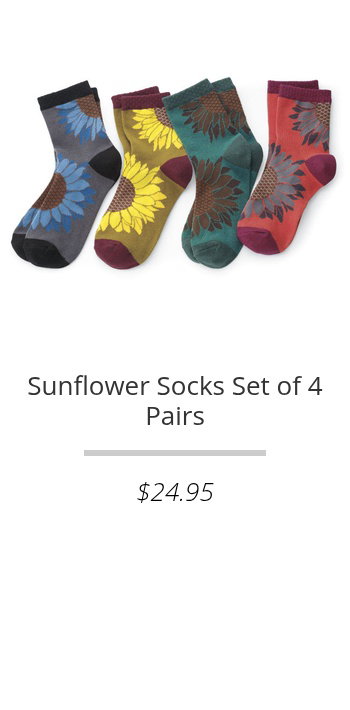 product 6
