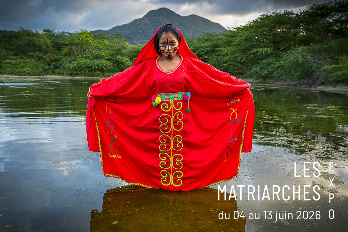 Les Matriarches + Exposition du 4 au 13 juin 2026