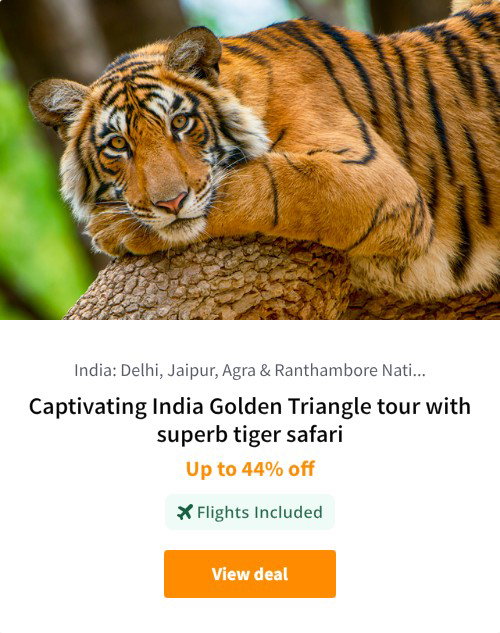 Captivating India Golden Triangle tour with superb tiger safari
