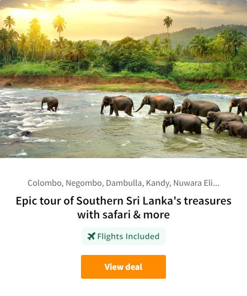 Epic tour of Southern Sri Lanka's treasures with safari &amp; more