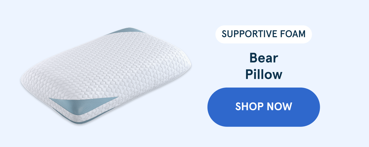 Shop Bear Pillow