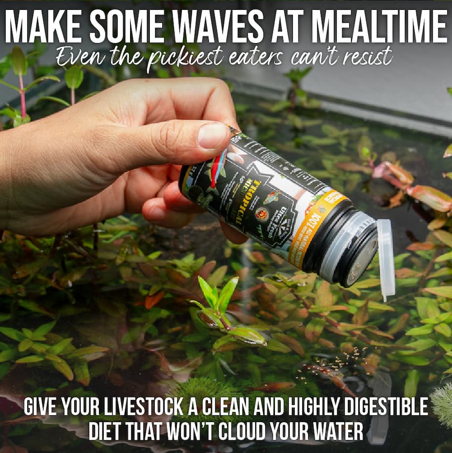 Ultra Fresh Fish and Shrimp Food
