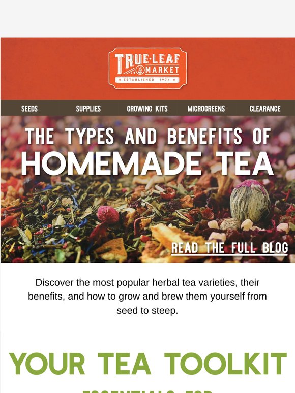 Grow Your Own Herbal Tea Garden  🍃