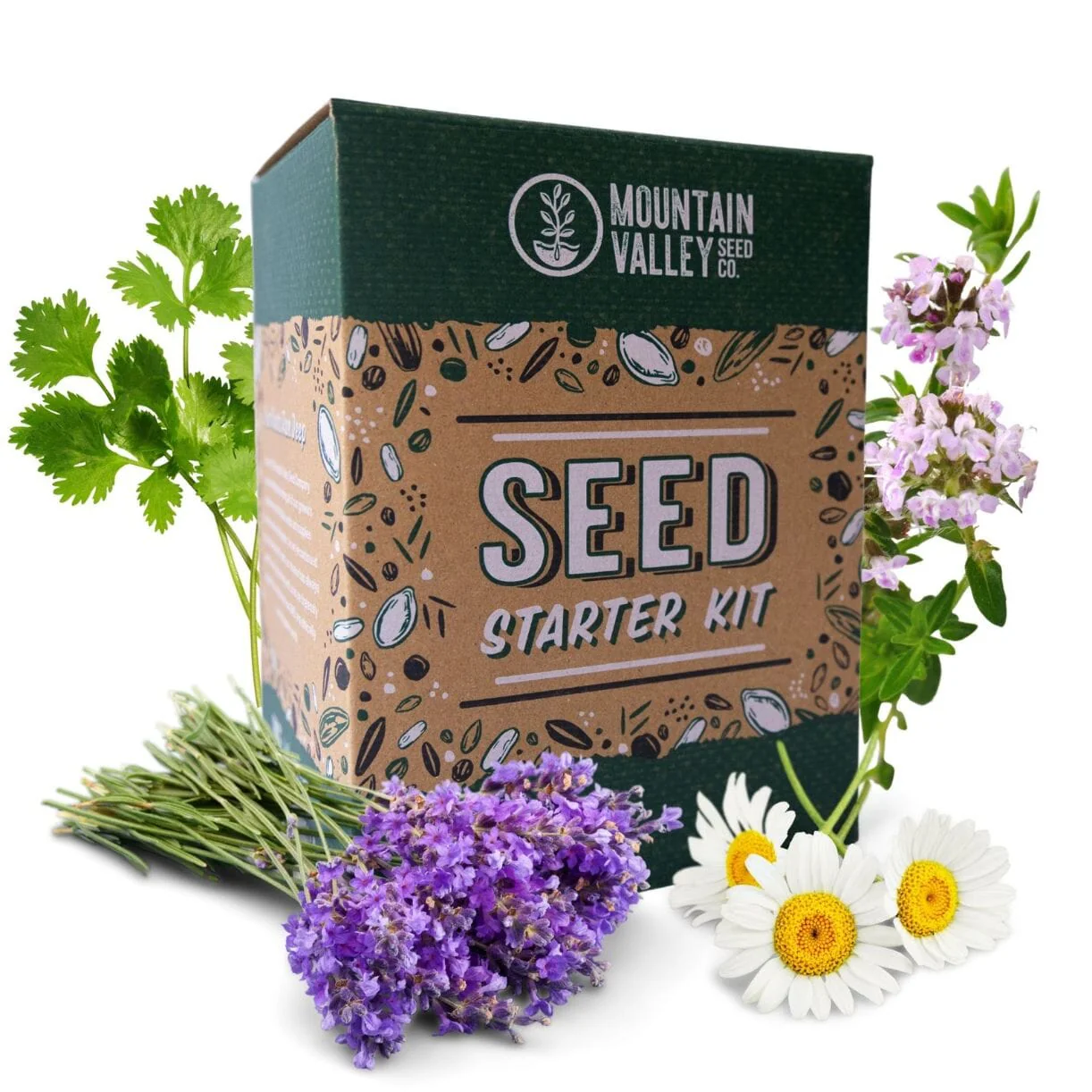 Seed Starter Kit - Medicinal & Herbal Tea