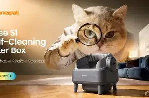 What cleans up after your cat before you even notice?