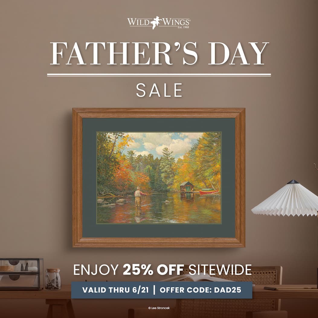 Father's Day Sale