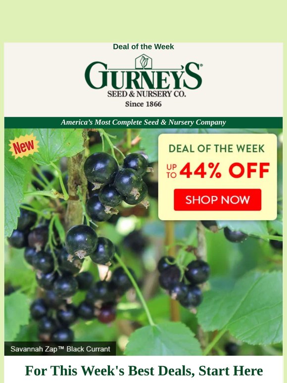 Deal of the Week: Up to 44% Off