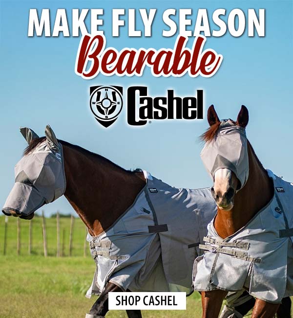 Shop All Cashel Fly Gear