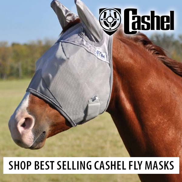Shop Cashel Fly Masks