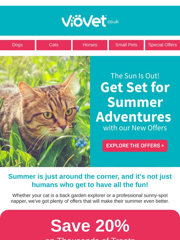 Summer deals your cat will love! ☀️