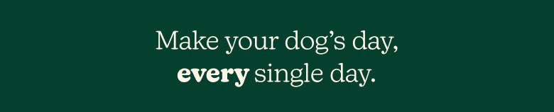 Make your dog's day, every single day.