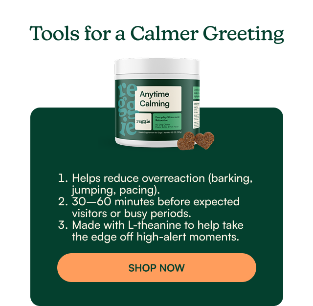 Anytime Calming Chews
