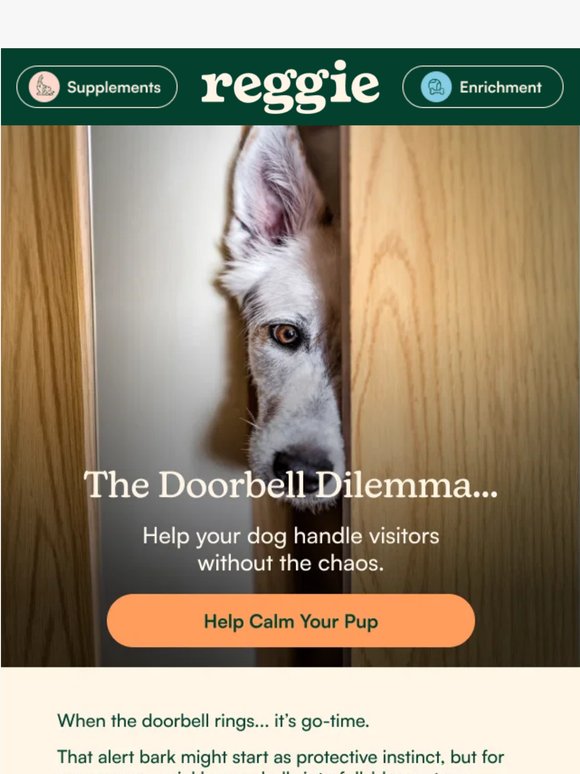 🔔 Ding Dong… Your Dog Has Entered Stress Mode