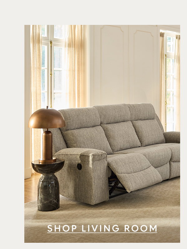 Shop Living Room