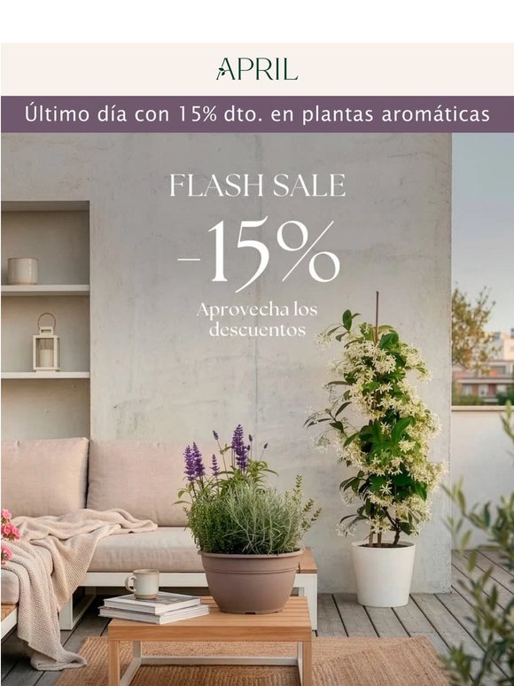 ¡Últimas horas! 🪻 -15% en aromáticas
