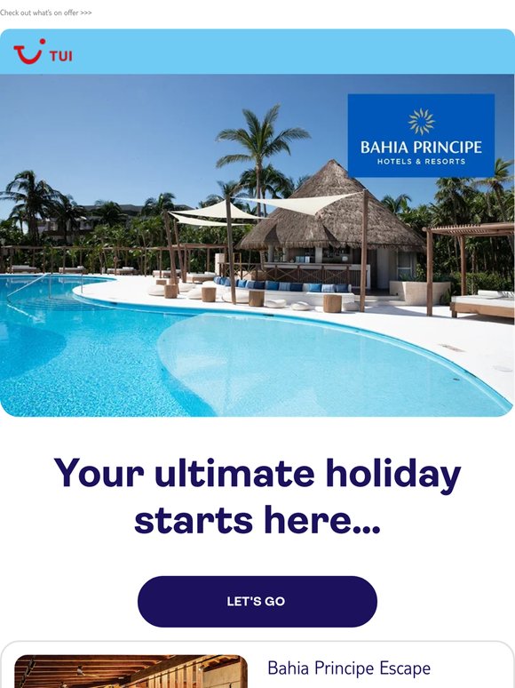 ✨ Pick your perfect Bahia Principe pad ✨