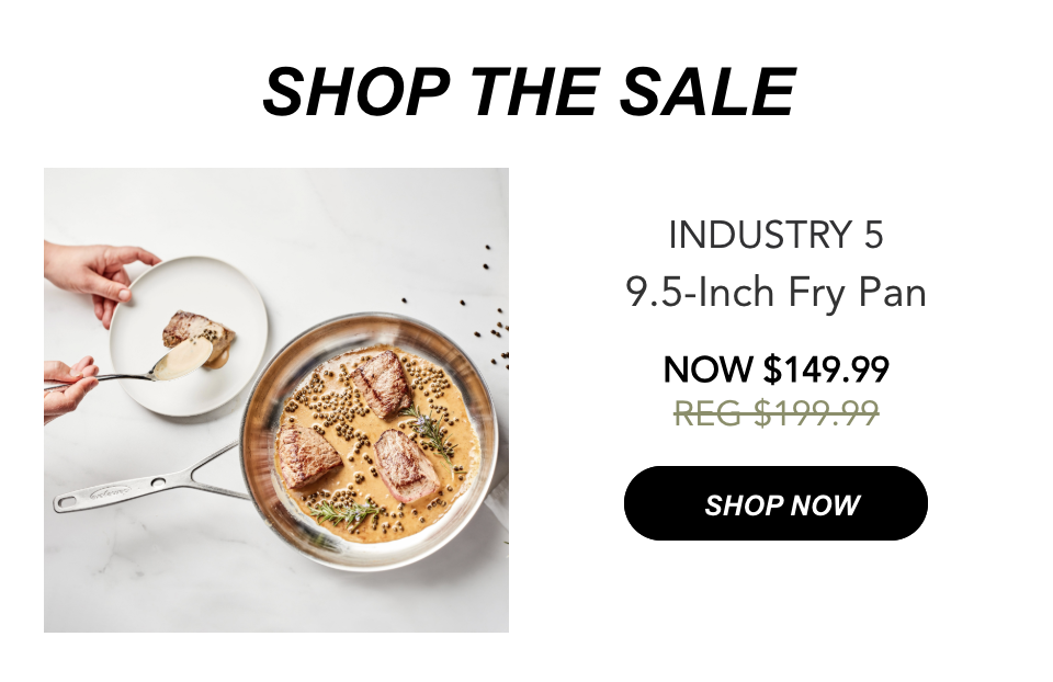 Industry 5 9.5-Inch Fry Pan