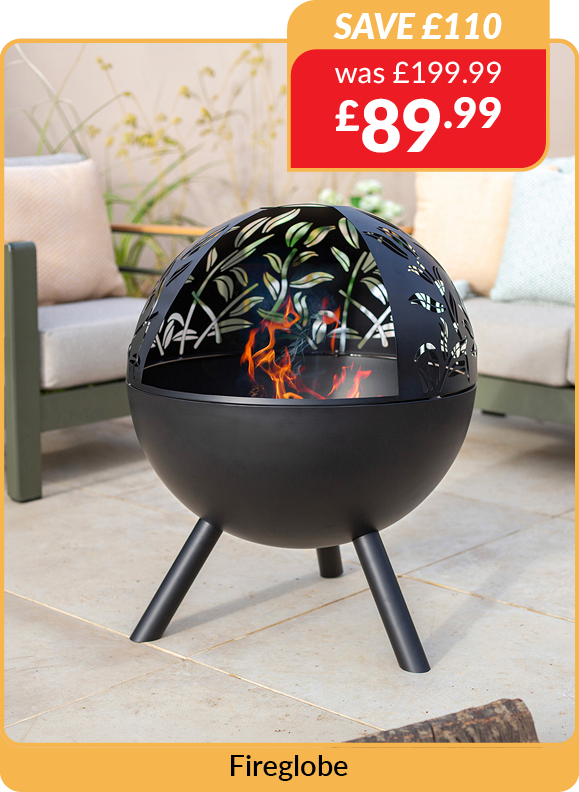 Fire Globe. Was £199.99, now £89.99