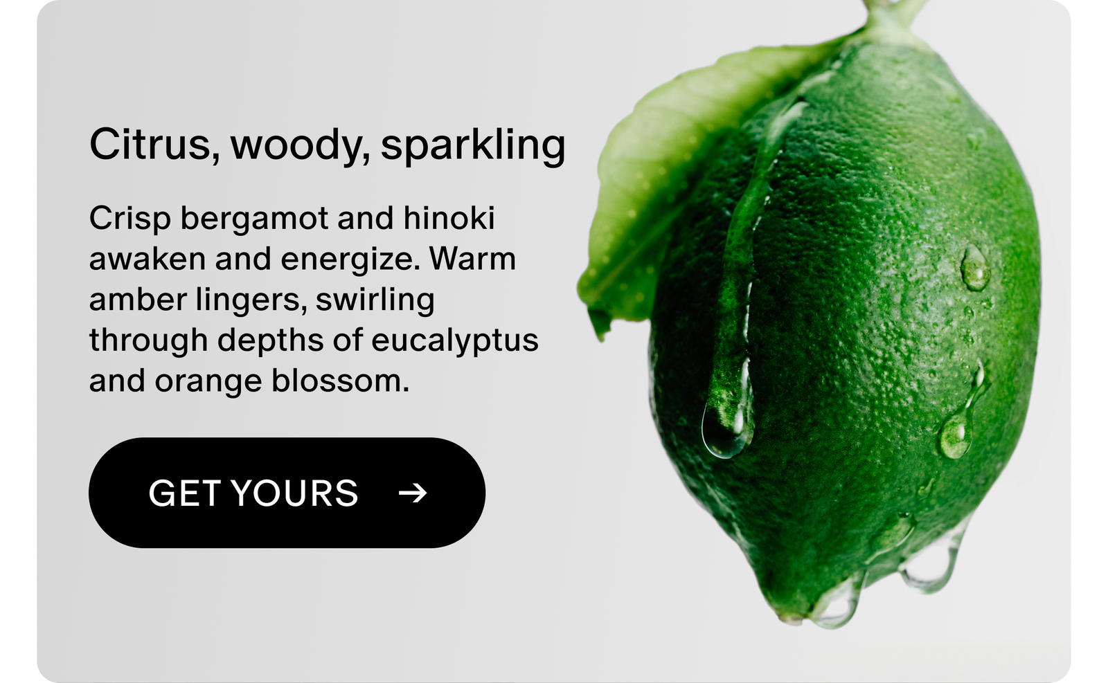 Crisp bergamot and hinoki awaken and energize. Warm amber lingers, swirling through depths of eucalyptus and orange blossom. 