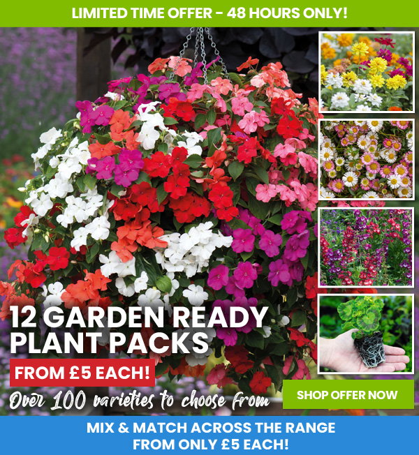 Garden Ready Mix & Match