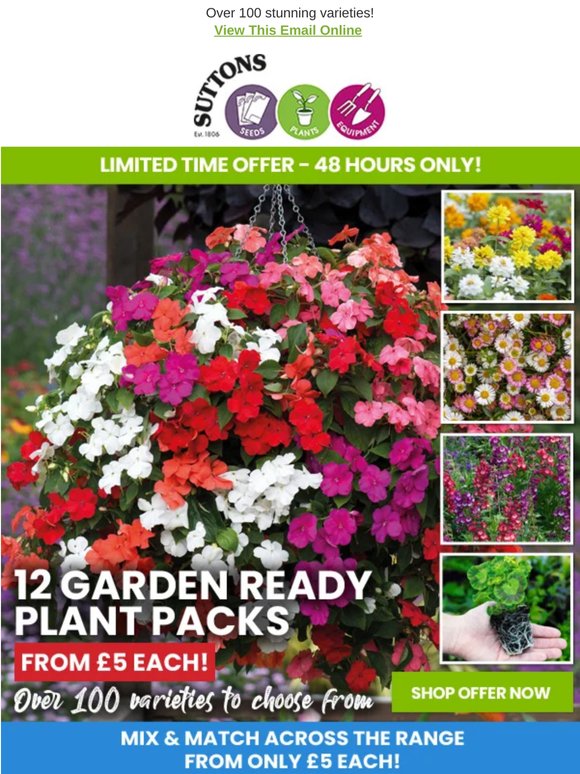 12 Garden Ready Plants FROM £5 A Pack! Mix & Match Special