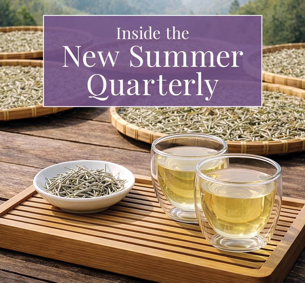 Inside the New Summer Quarterly