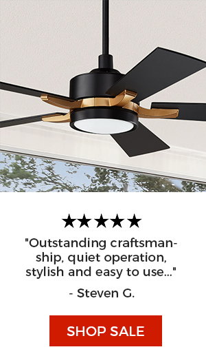 Apex 52 inch Smart Ceiling Fan Outdoor Works with Google Assistant