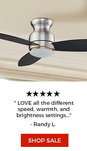 Trendsetter 52 inch Outdoor Low Profile Smart Ceiling Fan with Light