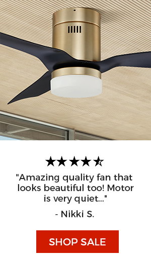 Striver 48 inch Low Profile Smart Ceiling Fan with Light