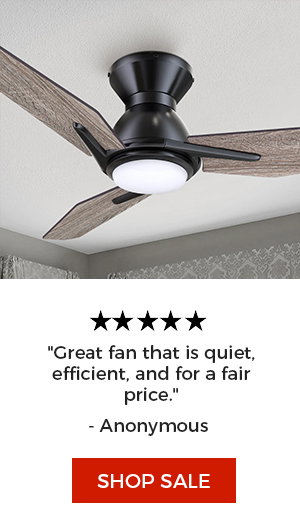 Brooks 44 in. Smart Outdoor Low Profile WiFi Ceiling Fan with LED Light