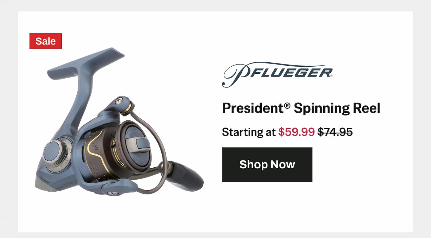 President Spinning Reel