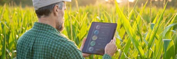 BSI Consulting Insights