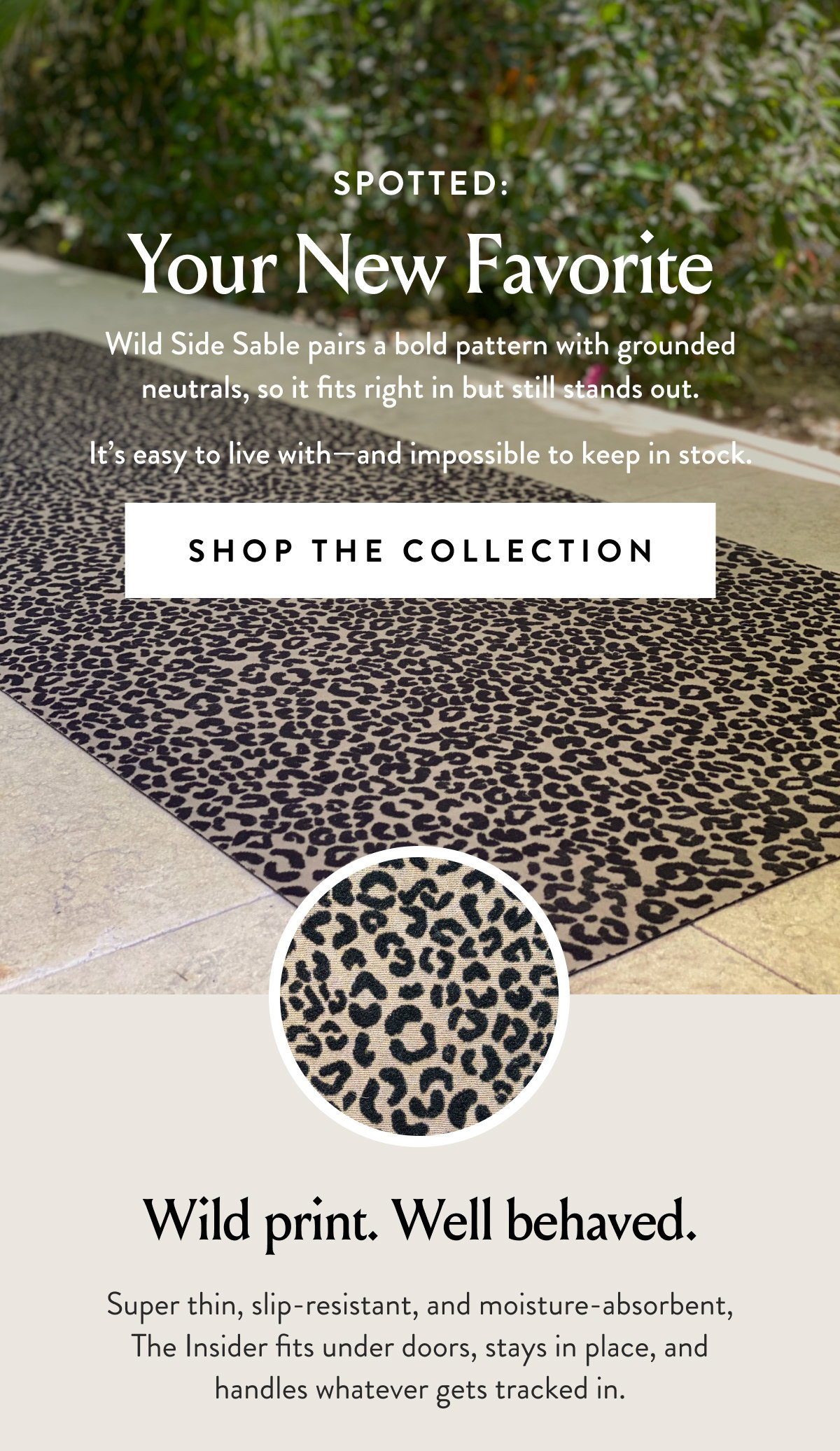 Shop All Collections Page