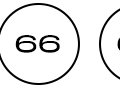 66