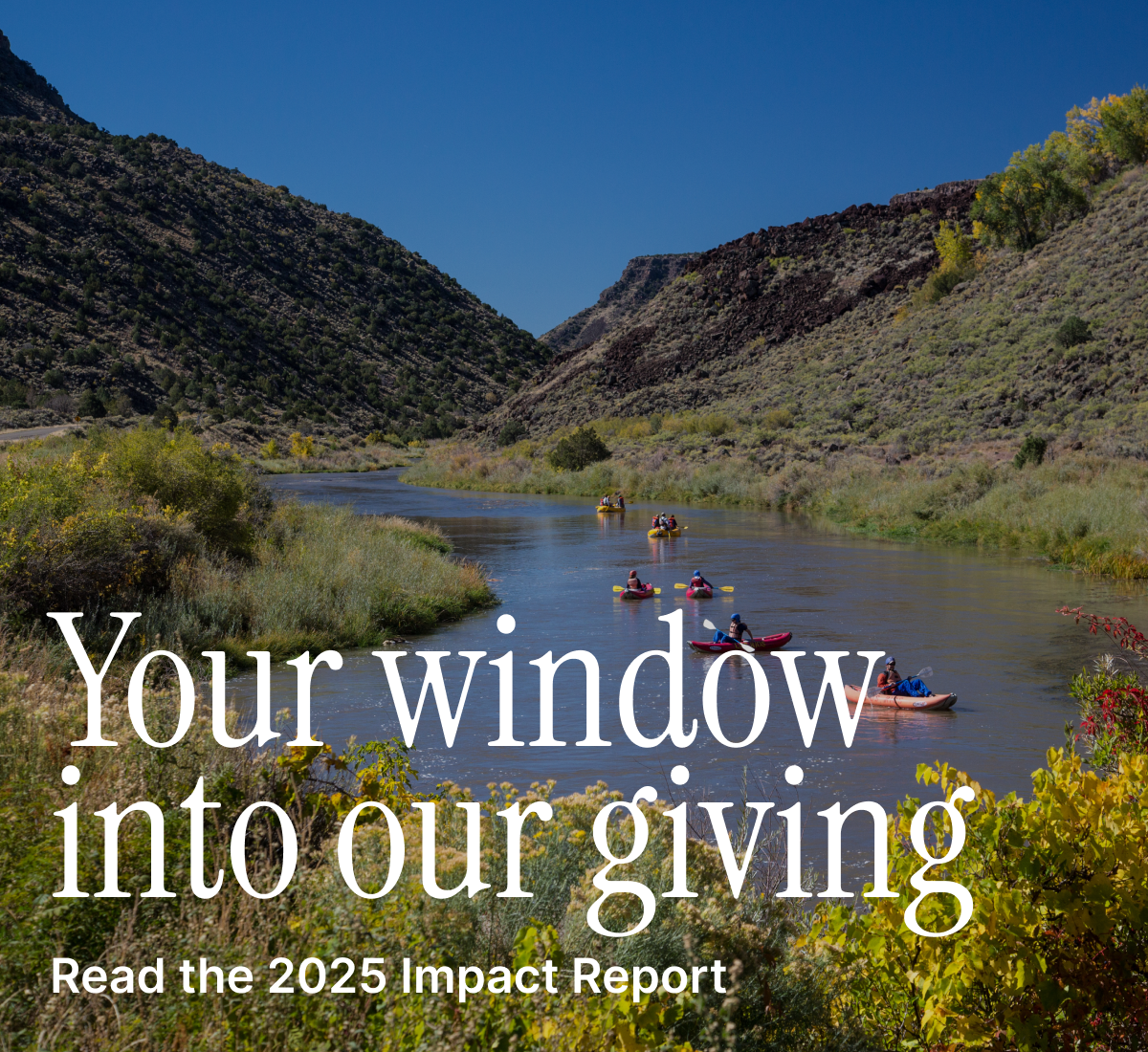 Read the 2025 Impact Report