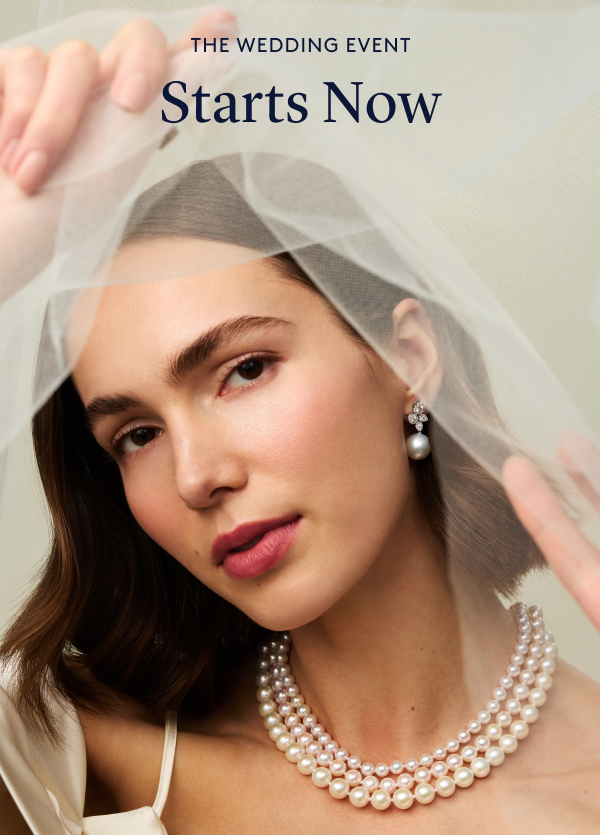 The Wedding Event Statrts Now