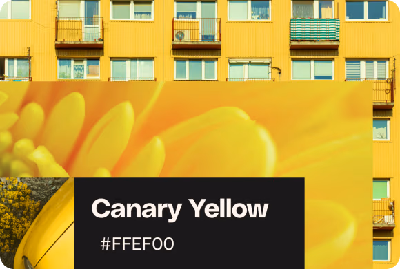 Canary yellow: the color of (northern hemisphere) summer 2026