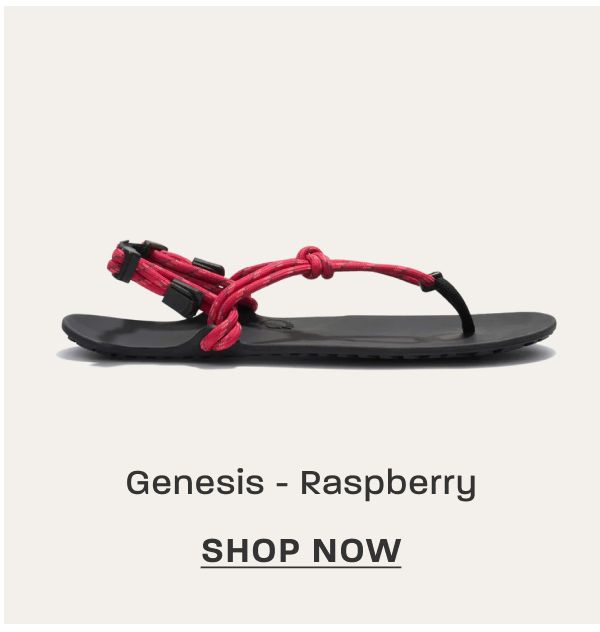 Genesis - Raspberry