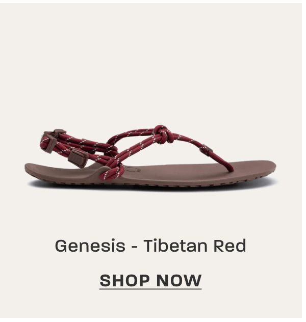 Genesis - Tibetan Red